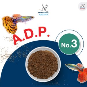 A.D.P. No.3