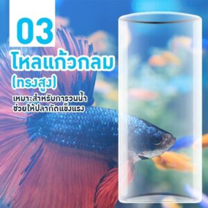 เลือกโหลเลี้่ยงปลากัด no.3