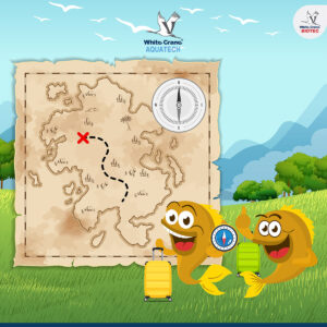 ฮวงจุ้ยกับการเลี้ยงปลาสวยงาม-ทิศ