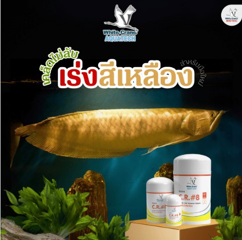 เคล็ดลับเร่งสีเหลือง