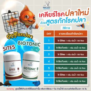 วิธีกักโรค