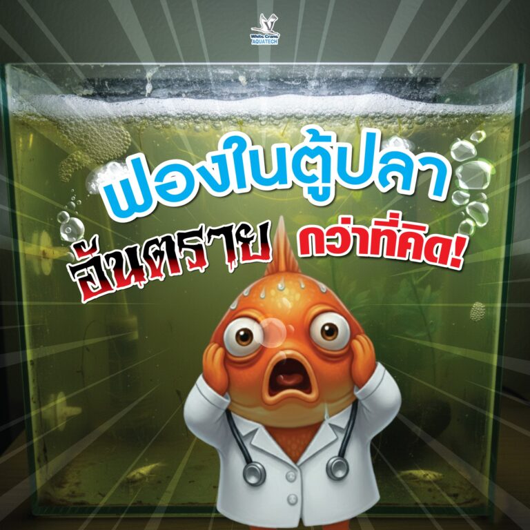 ฟองผิวน้ำ ไม่ได้เกิดจากอากาศ…