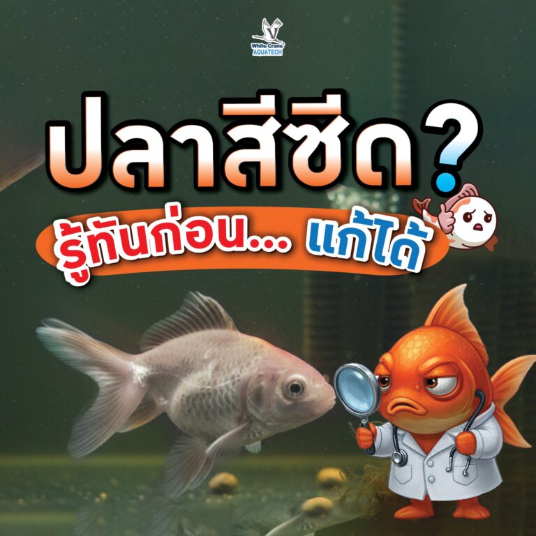 ปลาซีสีด รู้ทันก่อน…แก่ไขได้