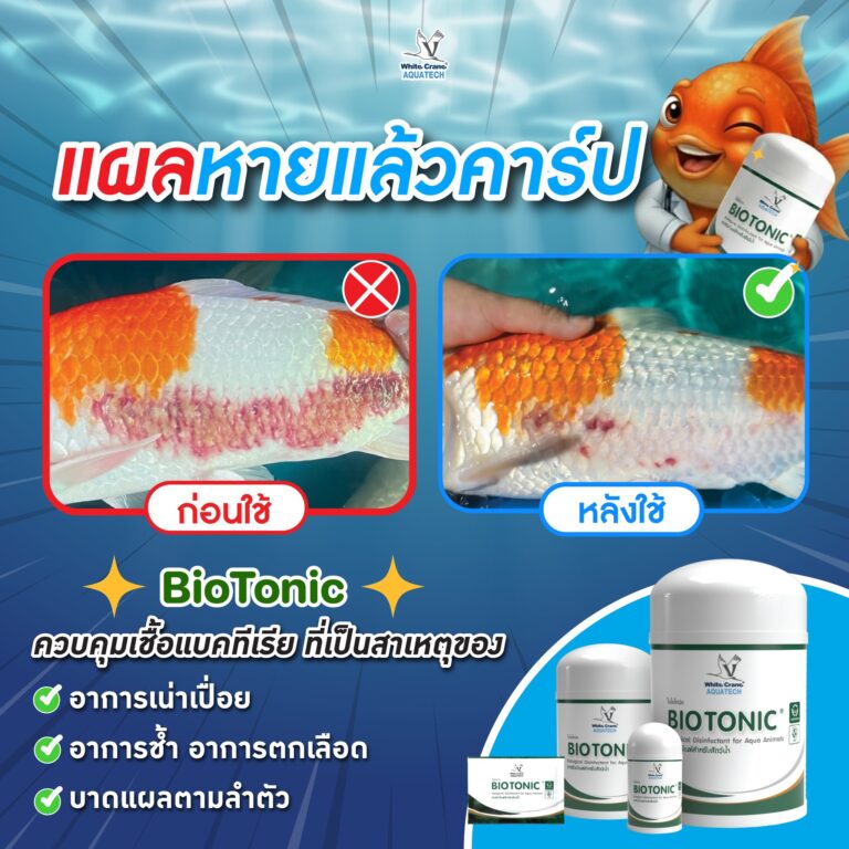 แผลลามไม่ควรรอ