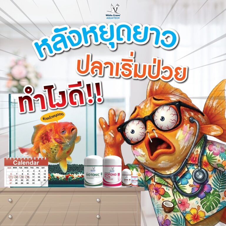 หลังหยุดยาว…ปลาเริ่มป่วย ทำไงดี?