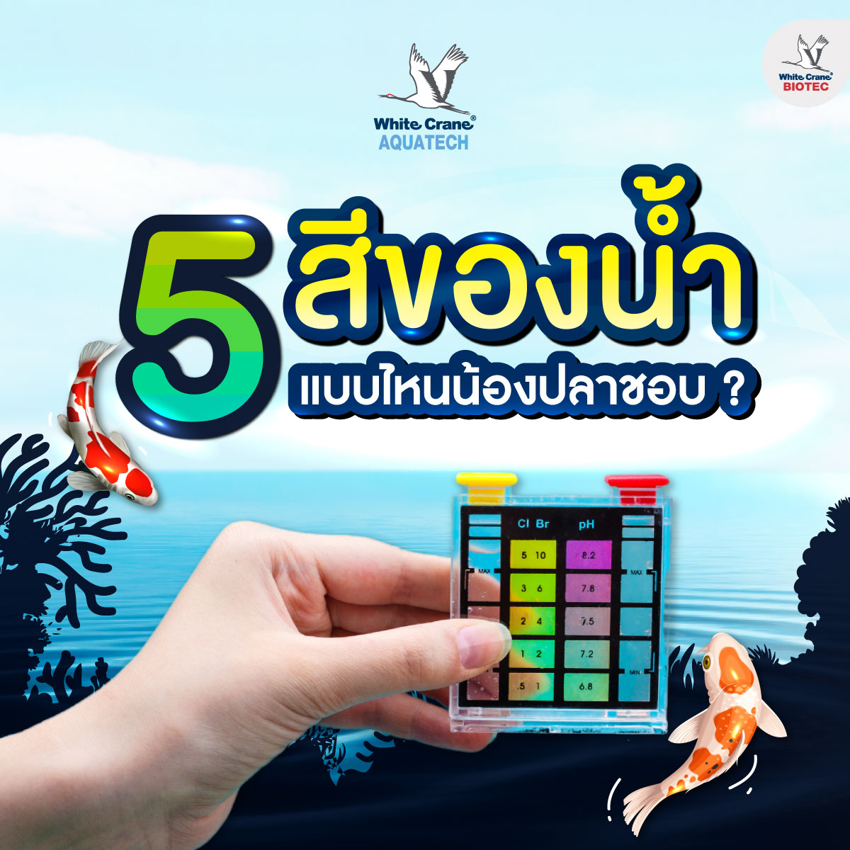 Read more about the article 5 สีน้ำที่ปลาชอบ