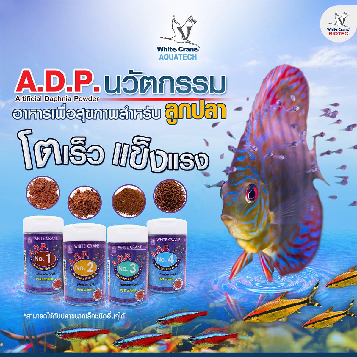 Read more about the article A.D.P. นวัตกรรมอาหารเพื่อลูกปลา
