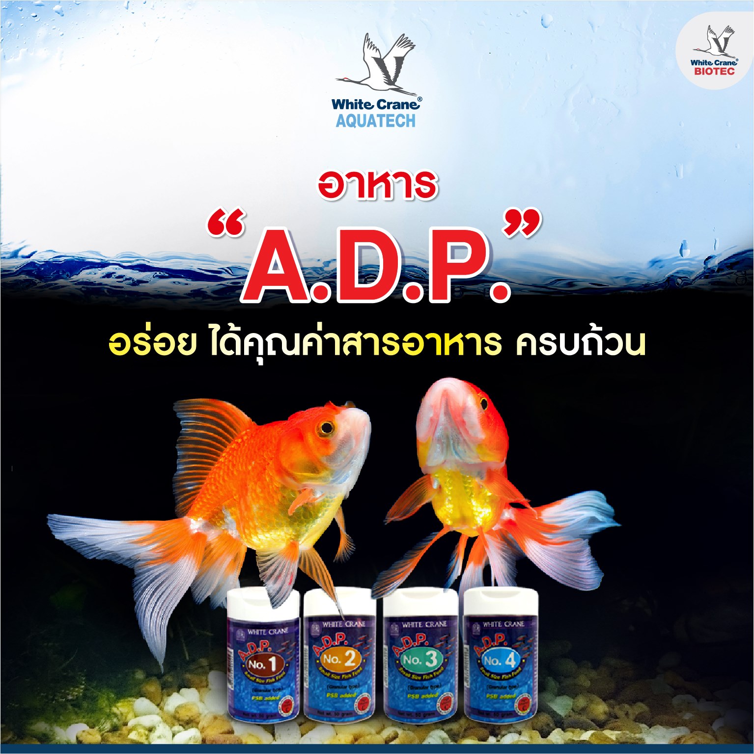 Read more about the article ผลิตภัณฑ์ A.D.P.