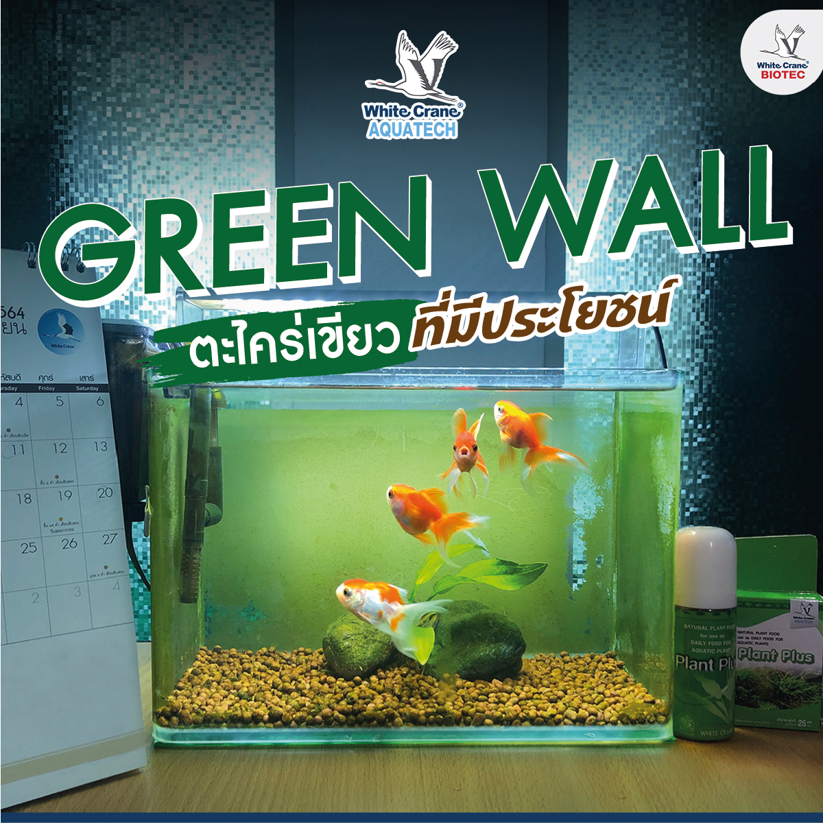 Read more about the article Green Wall