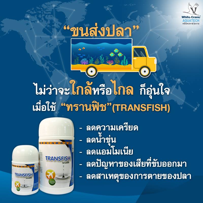 Read more about the article ผลิตภัณฑ์ TransFish