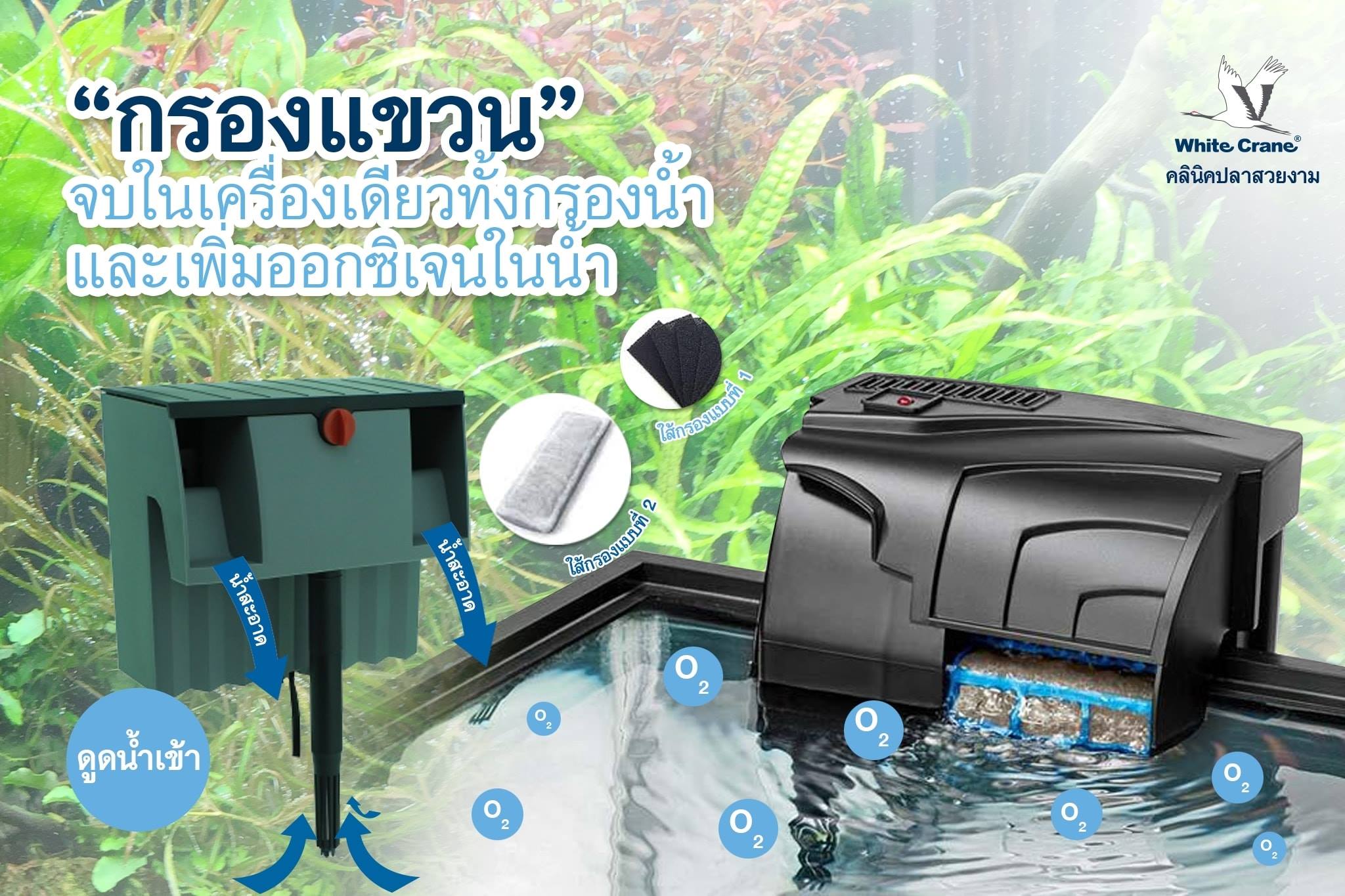 Read more about the article กรองแขวน