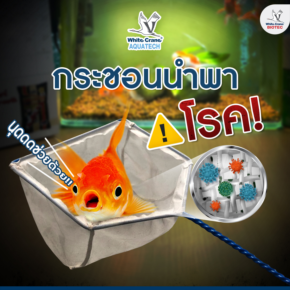 Read more about the article กระชอนนำพาโรค
