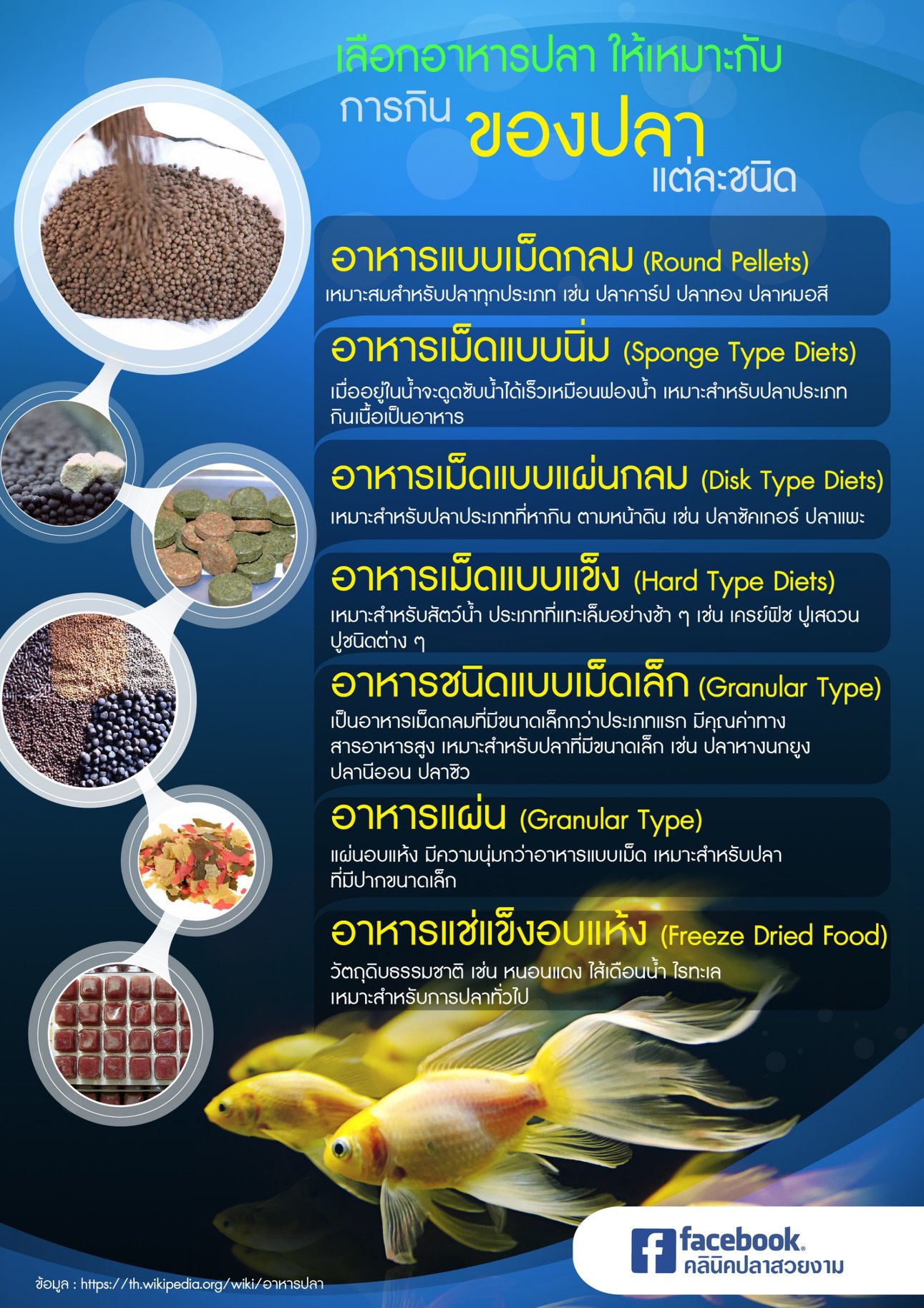 Read more about the article การเลือกอาหารปลา