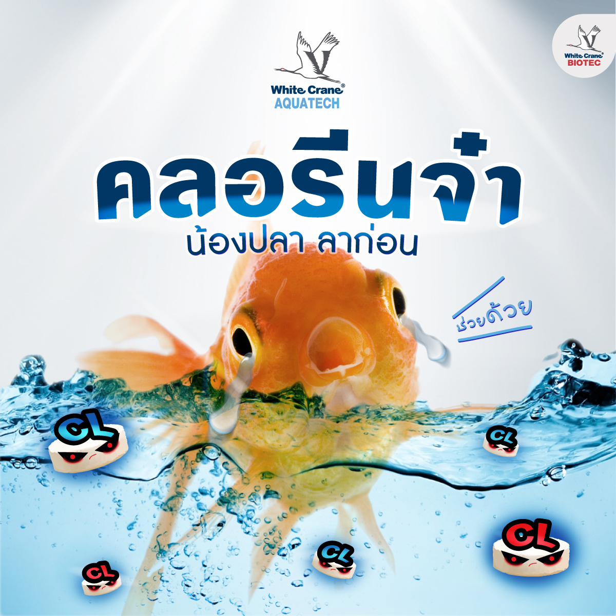 Read more about the article ปลาปลอดภัยจากคลอรีน