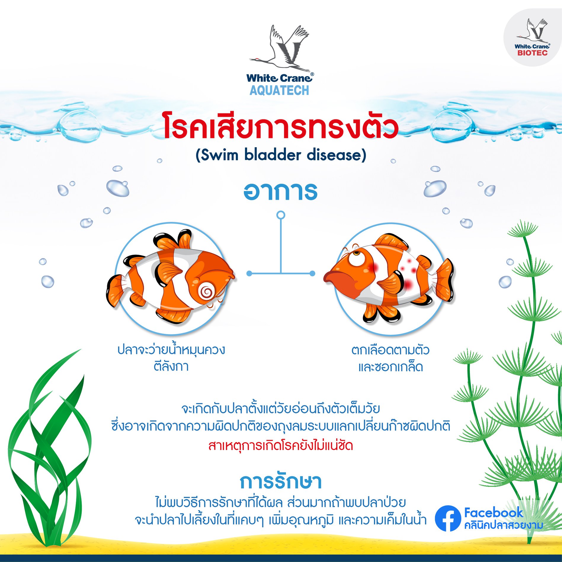 Read more about the article โรคเสียการทรงตัว
