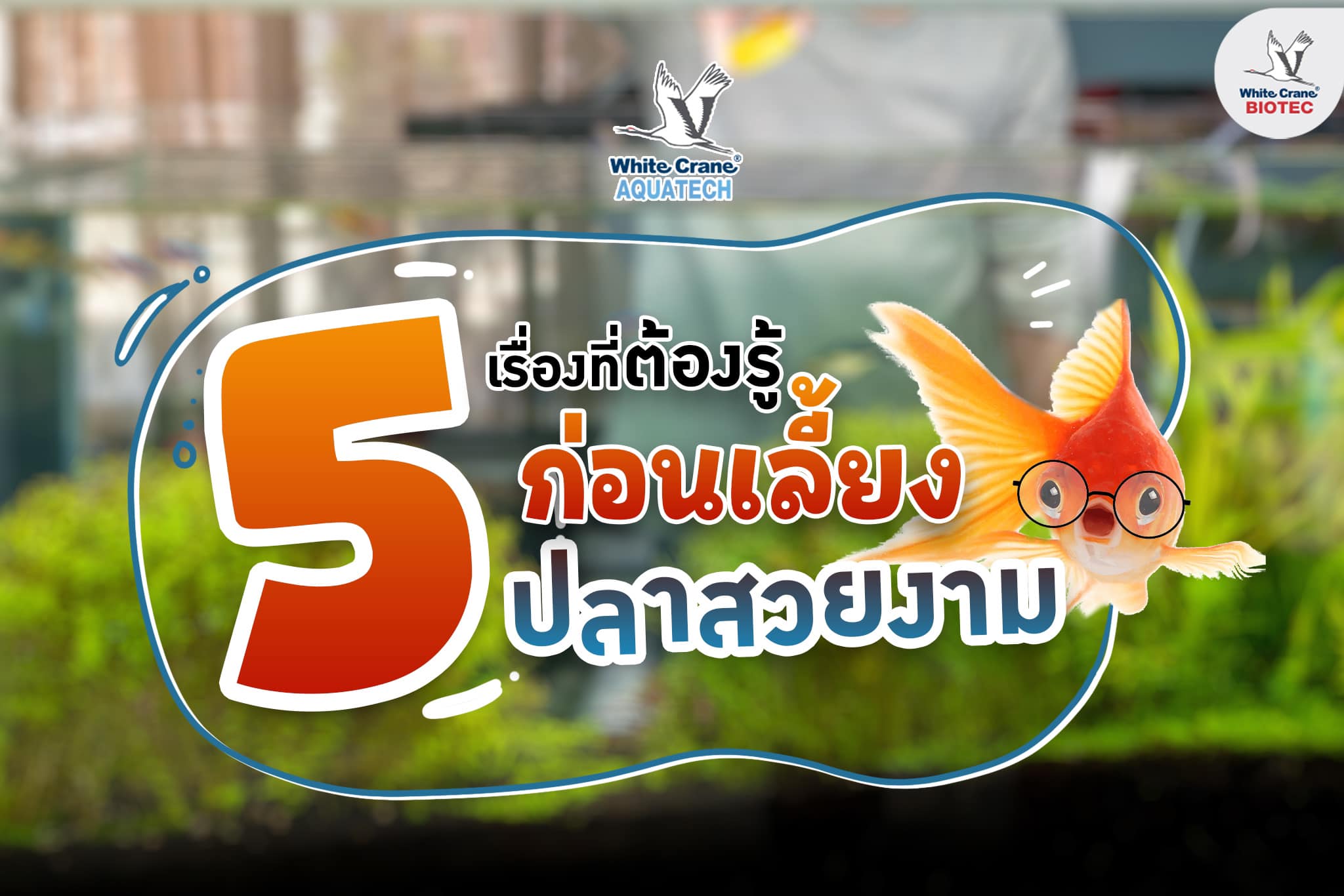 Banner - ความรู้เกี่ยวกับการเลี้ยง