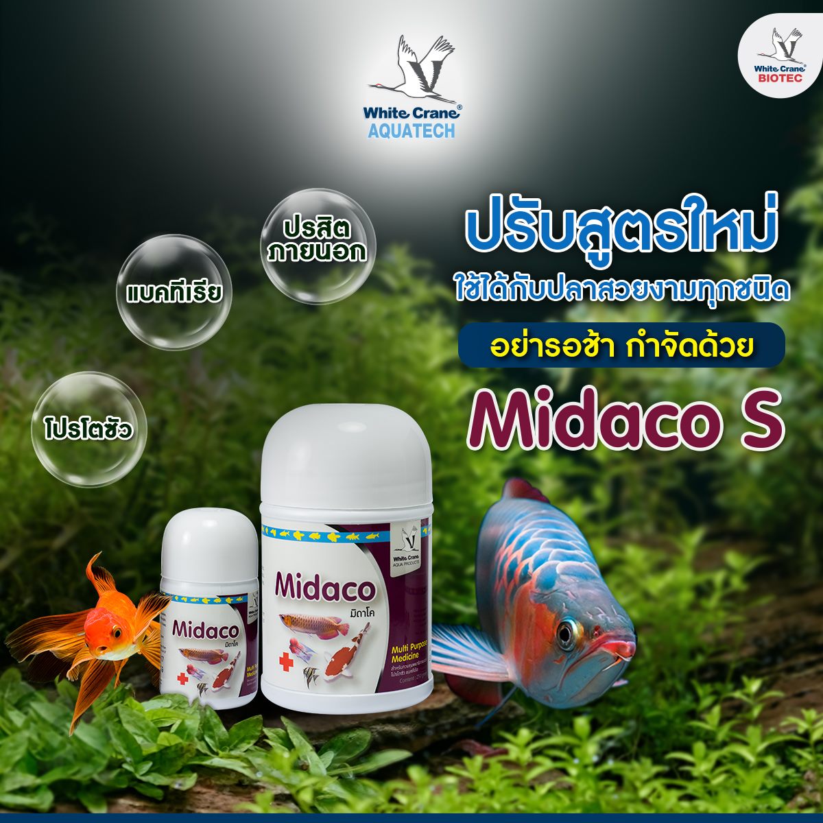 Read more about the article จัดการปรสิตด้วย Midaco S