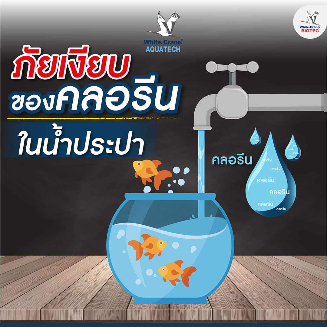 Read more about the article ภัยเงียบของคลอรีน