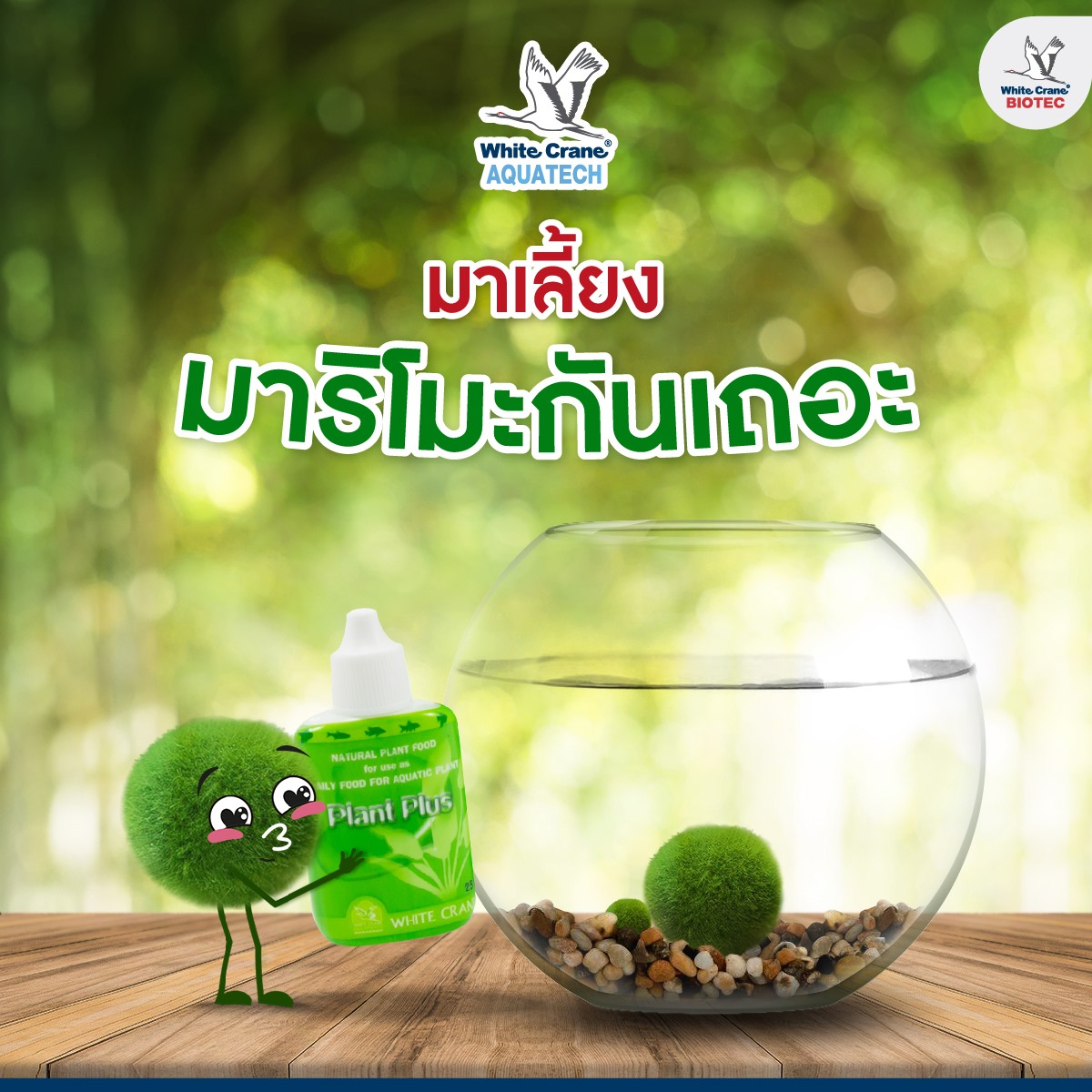 Read more about the article มาเลี้ยงมาริโมะกันเถอะ