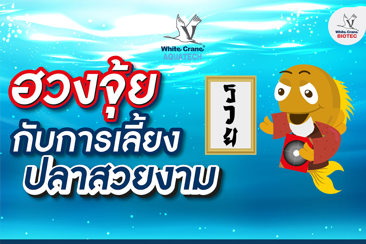 Read more about the article ฮวงจุ้ยกับการเลี้ยงปลาสวยงาม