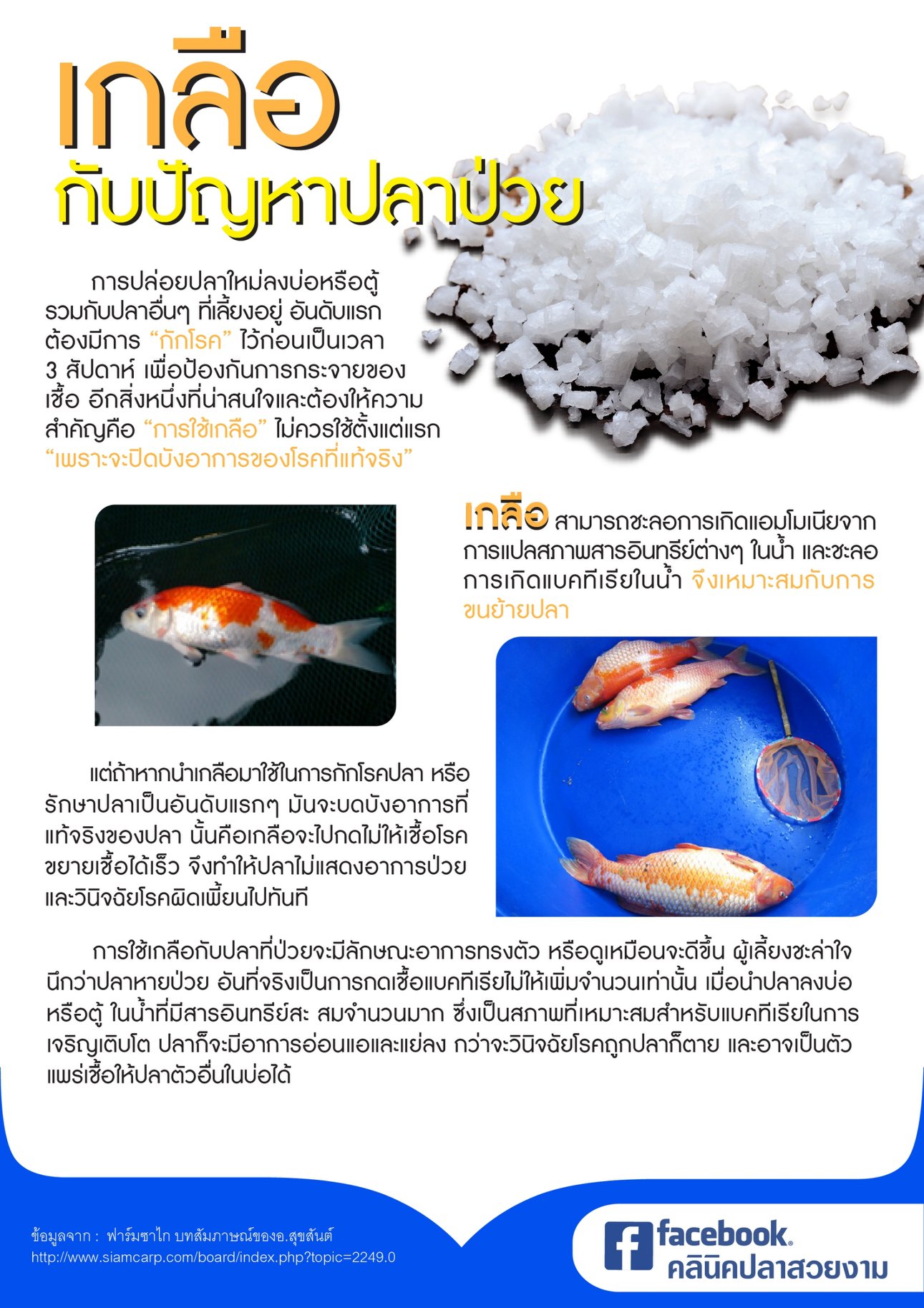 Read more about the article เกลือกับปัญหาปลาป่วย